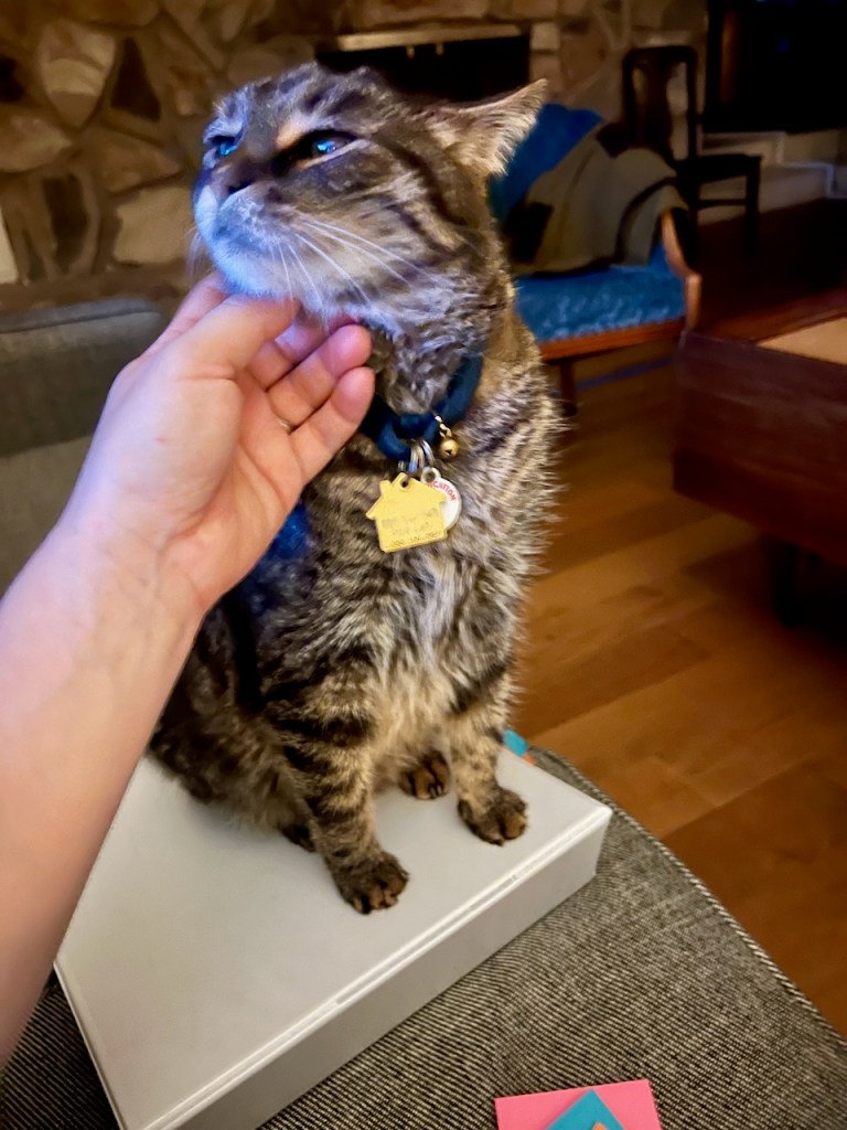 Malthus, Allison's cat sitting on a draft of the book